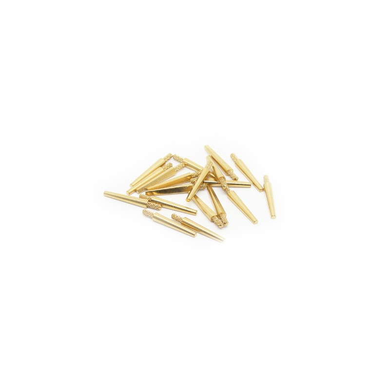 PINS mit Retentionen 20 mm